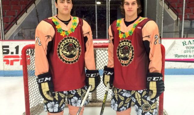 Best beer league jerseys ever. : r/hockeyjerseys